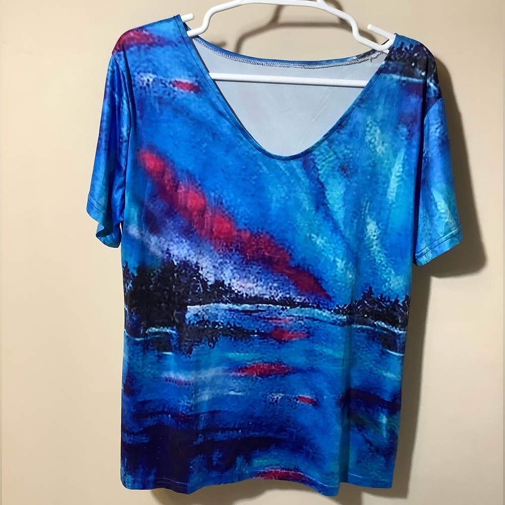😊A great tee printed with the “Northern Lights “, purchased in Alaska size 14